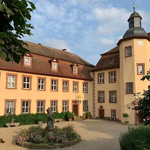 Apartment Private In Historic Castle From 1608 With Tenniscourt, Zeitlofs